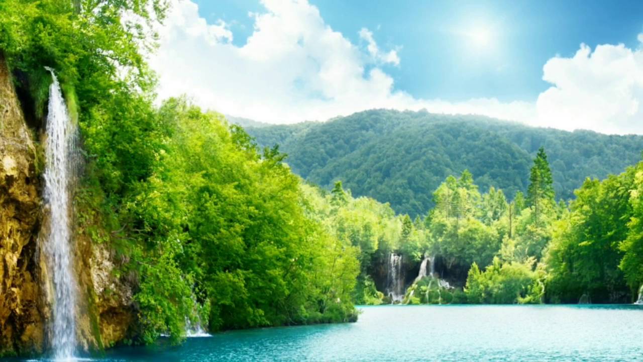 Detail Gambar Pemandangan Alam Hijau Koleksi Nomer 3