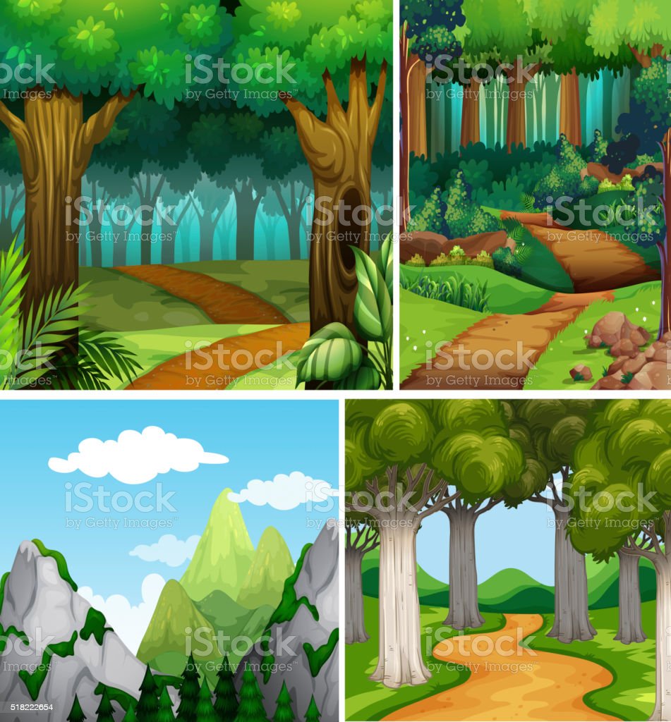 Detail Gambar Pemandangan Alam Hutan Nomer 9