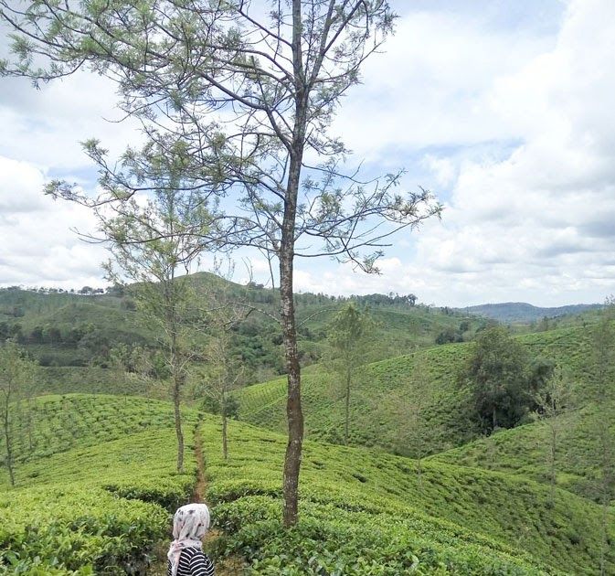 Detail Gambar Pemandangan Alam Pedesaan Asli Yang Indah Nomer 35