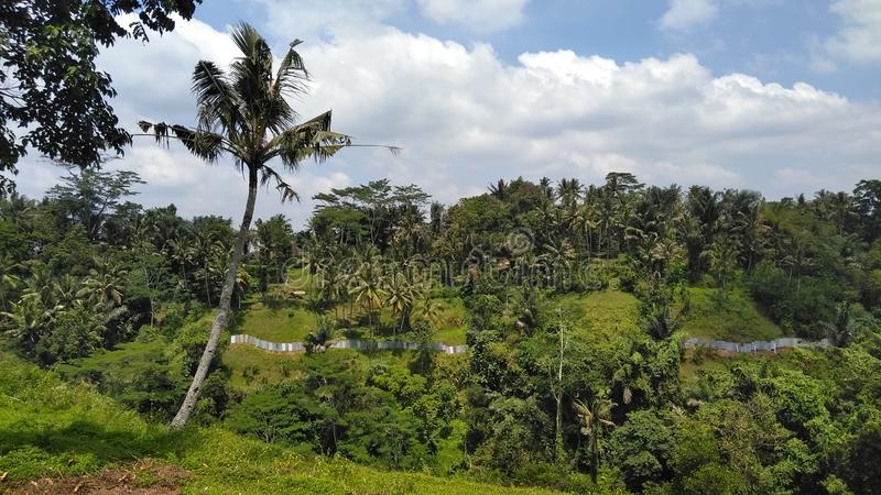 Detail Gambar Pemandangan Alam Pemandangan Alam Indonesia Nomer 40