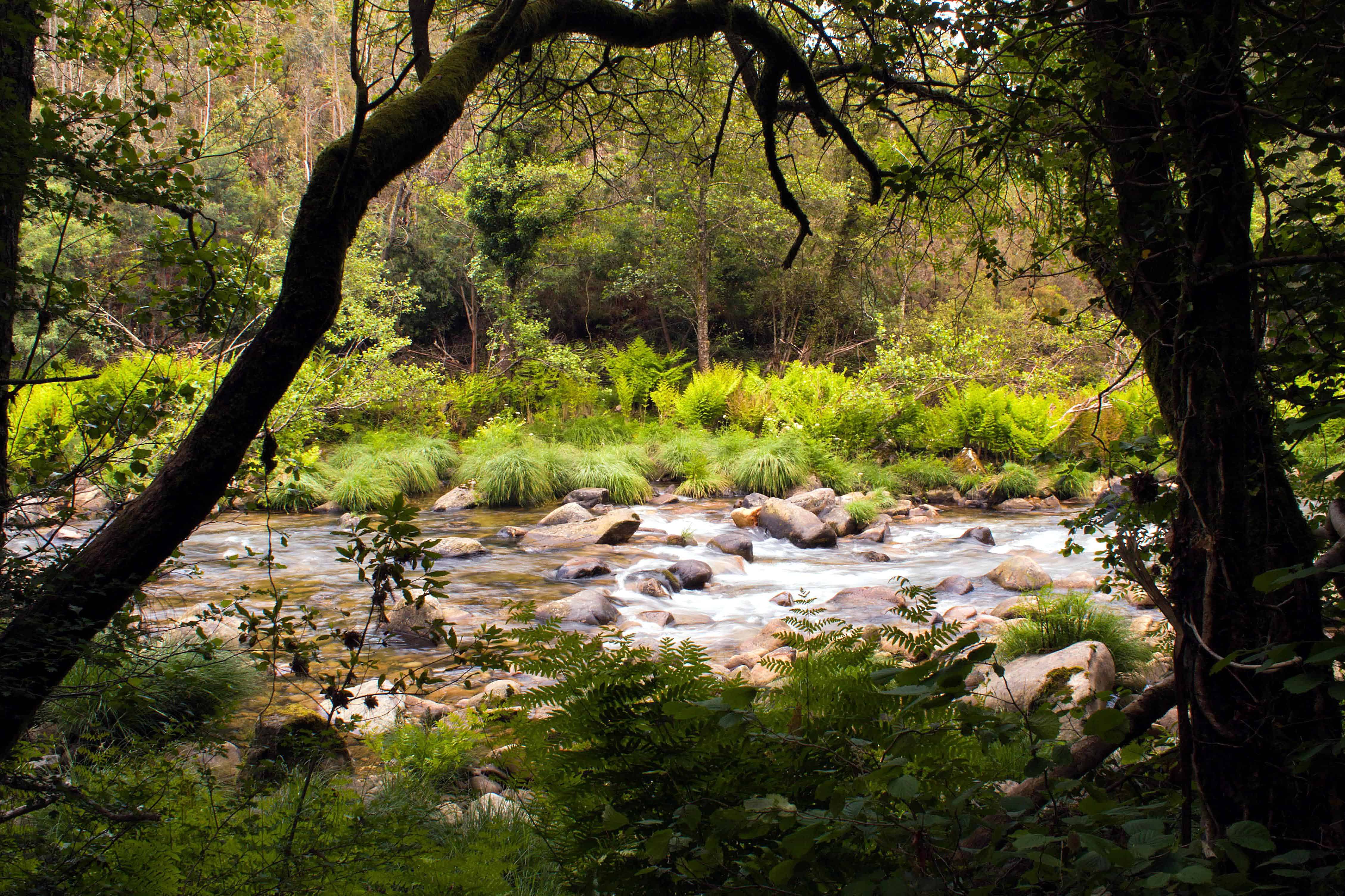 Detail Gambar Pemandangan Alam Sungai Nomer 28