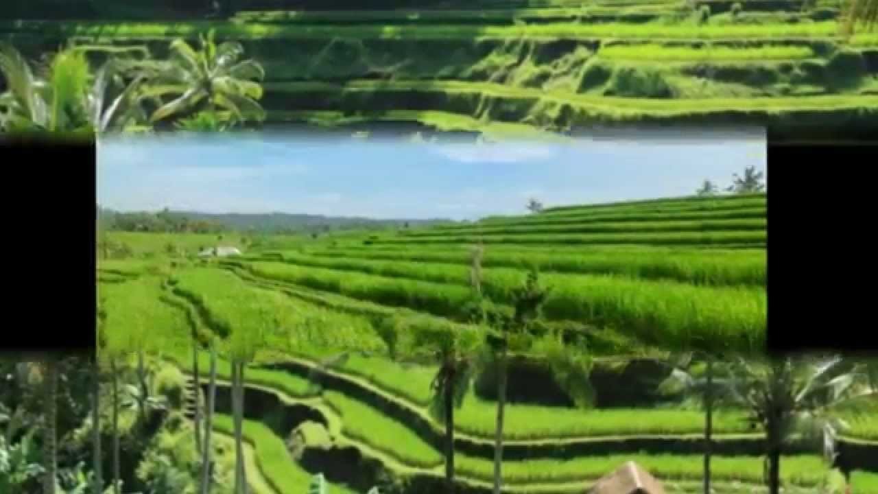 Detail Gambar Pemandangan Alam Terindah Di Indonesia Nomer 44