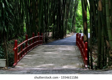 Detail Gambar Pemandangan Bambu Nomer 34