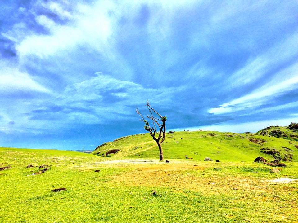 Detail Gambar Pemandangan Bukit Nomer 8