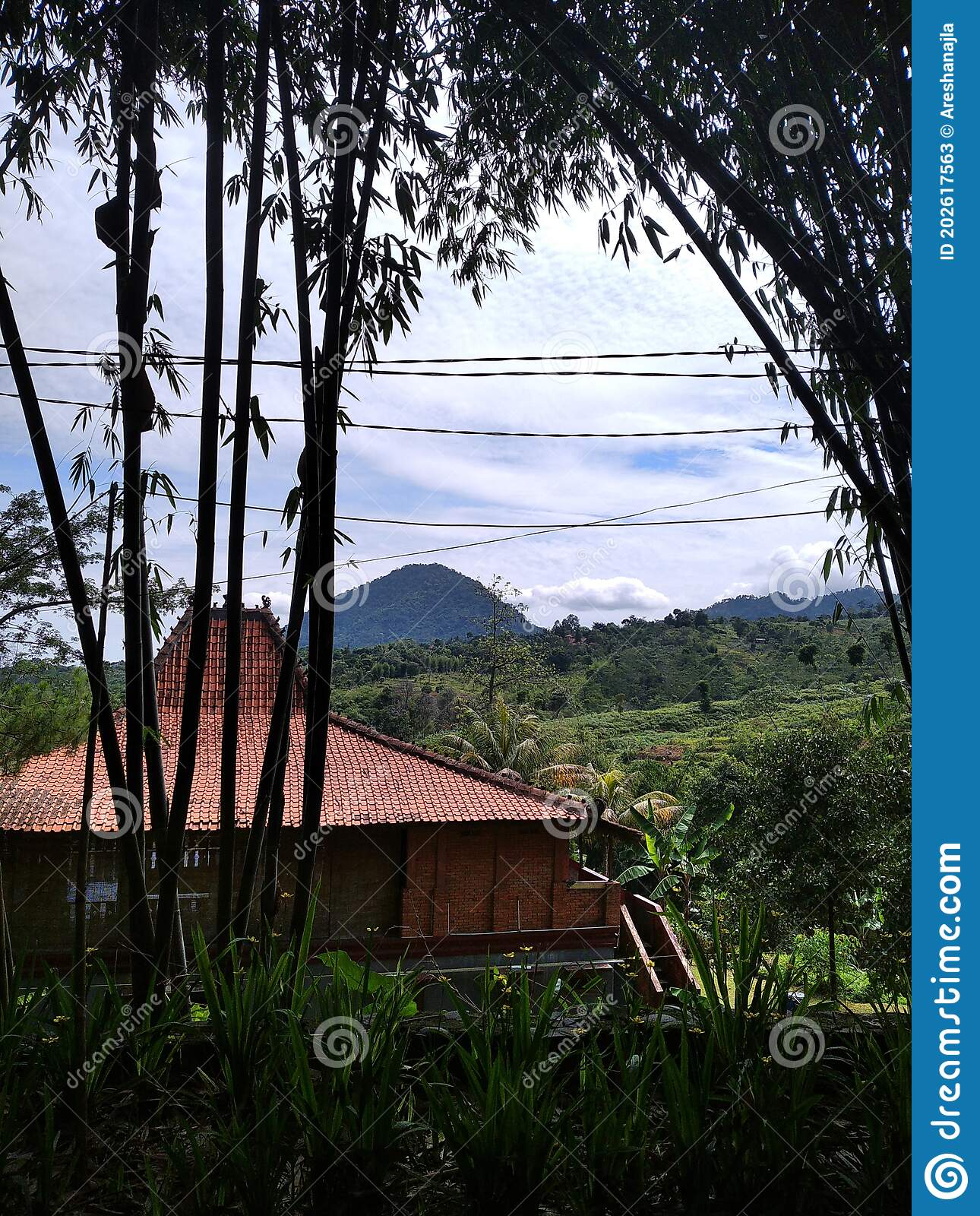 Detail Gambar Pemandangan Bukit Nomer 14