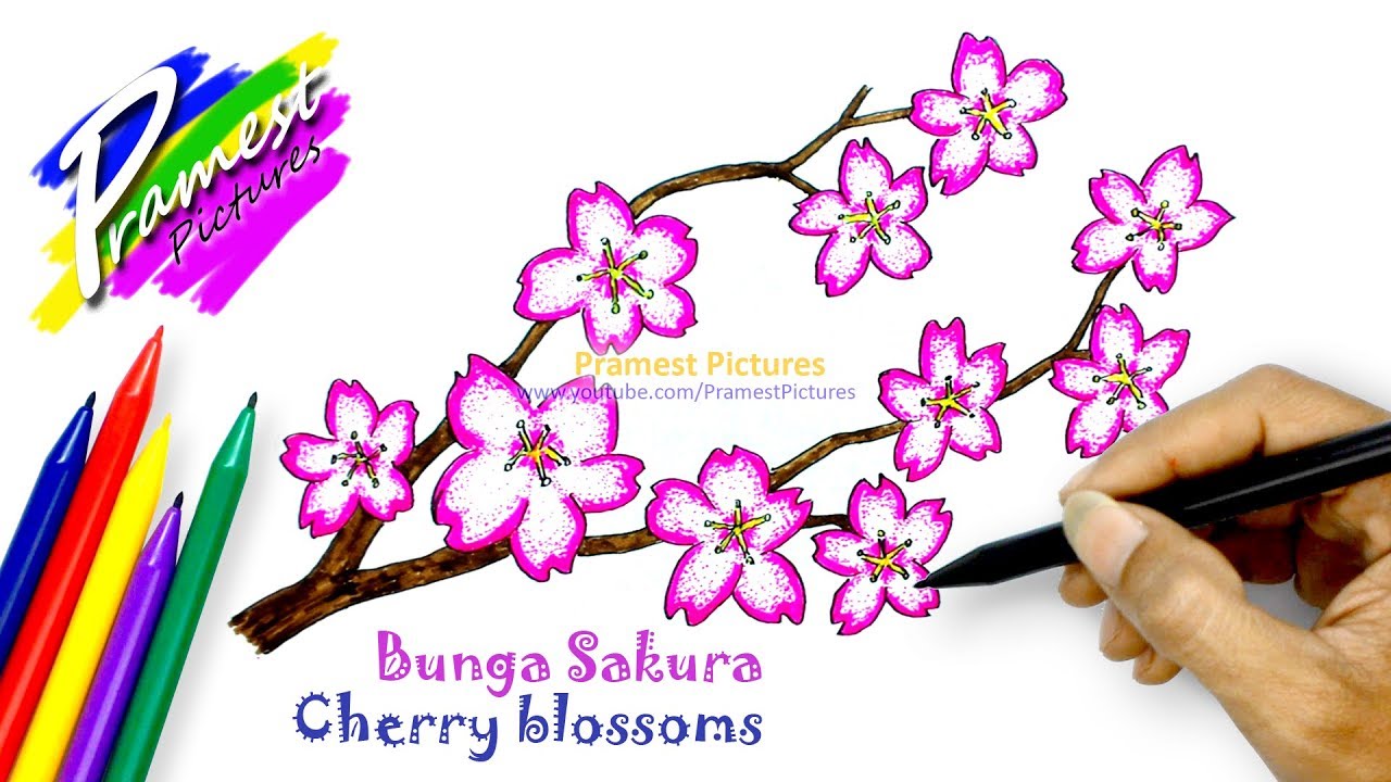 Detail Gambar Pemandangan Bunga Sakura Dengan Pensil Warna Nomer 13