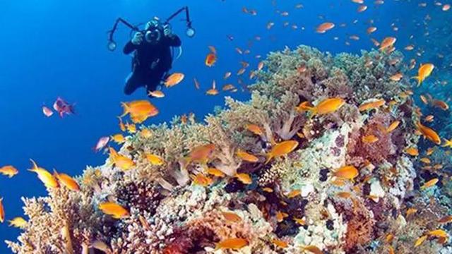 Detail Gambar Pemandangan Dalam Laut Nomer 51