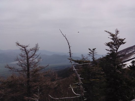 Detail Gambar Pemandangan Di Atas Gunung Nomer 54