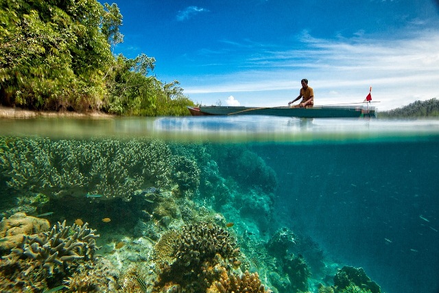 Detail Gambar Pemandangan Di Bawah Laut Nomer 48