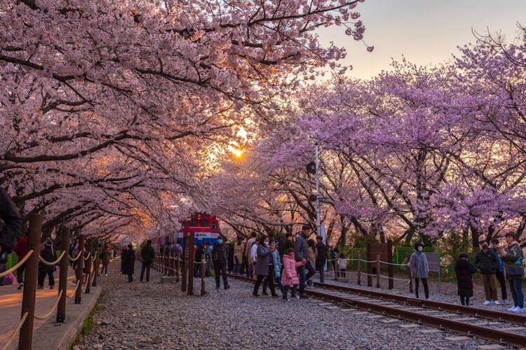 Detail Gambar Pemandangan Di Korea Nomer 29