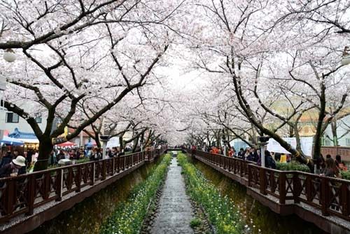 Detail Gambar Pemandangan Di Korea Selatan Nomer 5