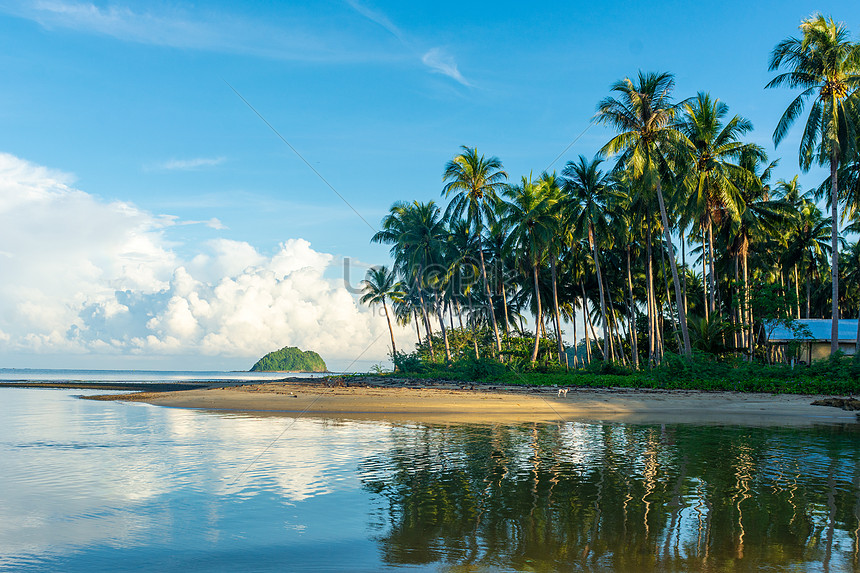 Detail Gambar Pemandangan Di Pinggir Pantai Nomer 40