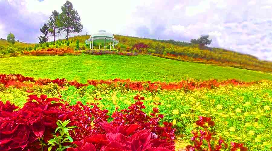 Detail Gambar Pemandangan Di Taman Nomer 25