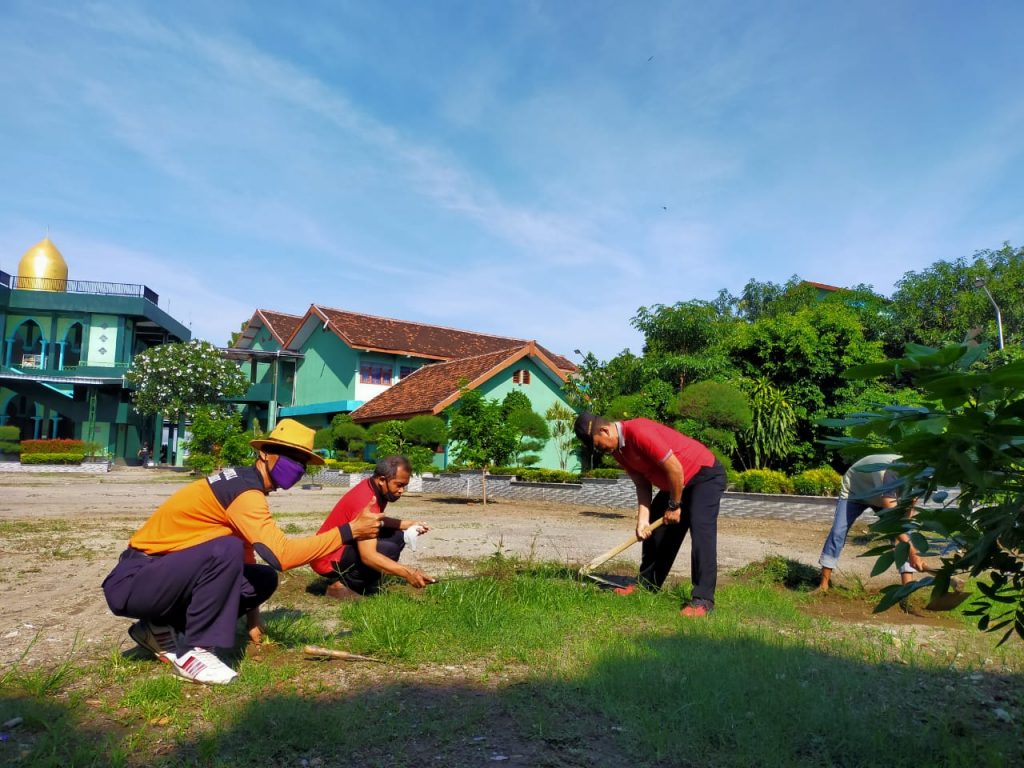 Detail Gambar Pemandangan Gambar Pemandangan Lingkungan Bersih Nomer 26