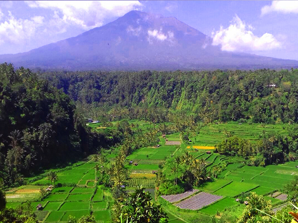 Detail Gambar Pemandangan Gunung Agung Bali Nomer 43