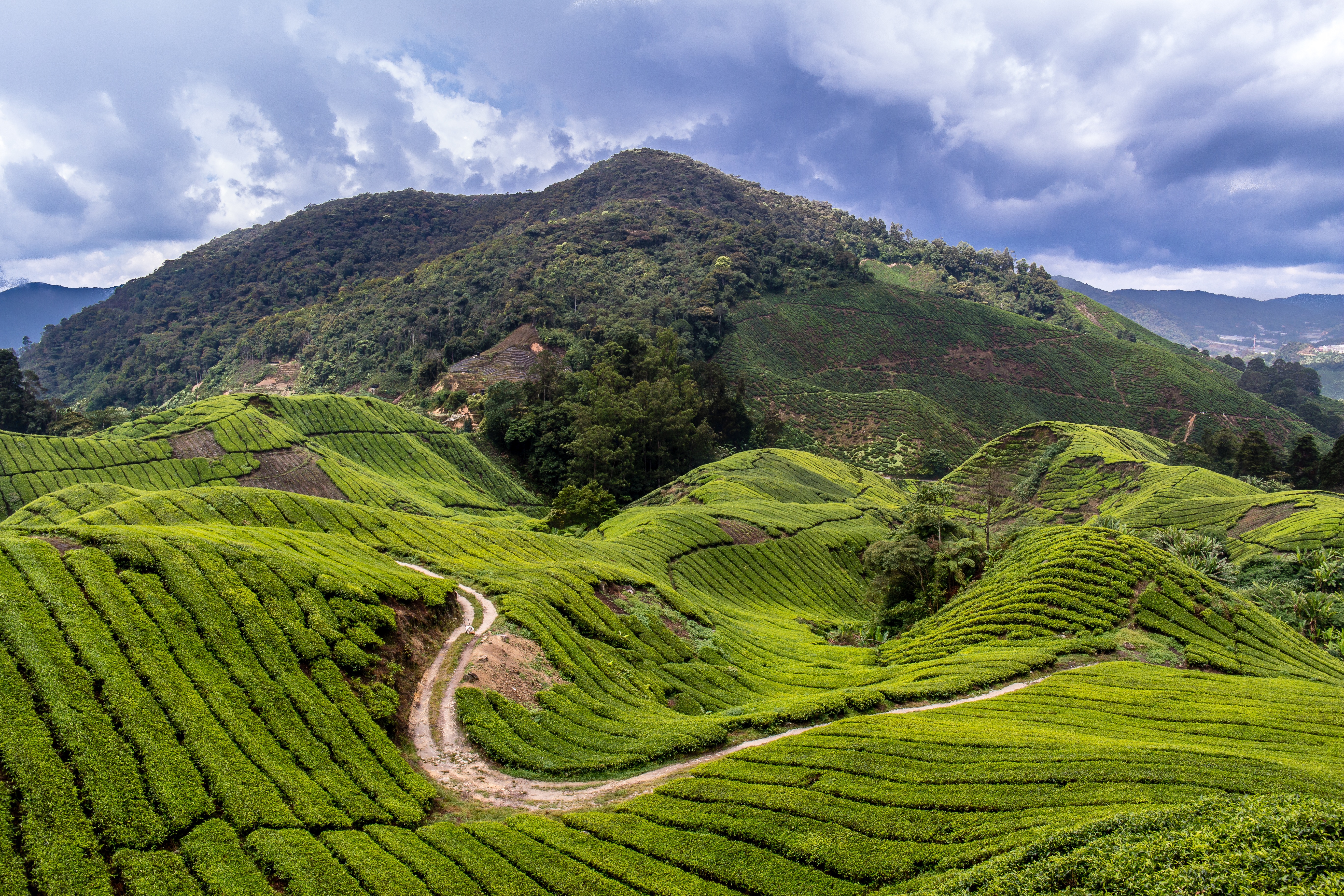 Detail Gambar Pemandangan Gunung Asli Nomer 25