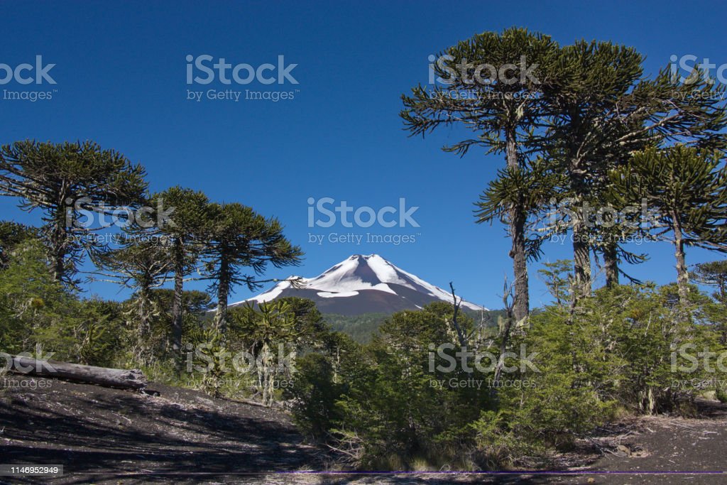 Detail Gambar Pemandangan Gunung Berapi Nomer 56