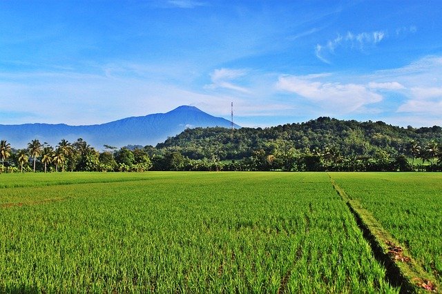 Detail Gambar Pemandangan Gunung Dan Sawah Nomer 35