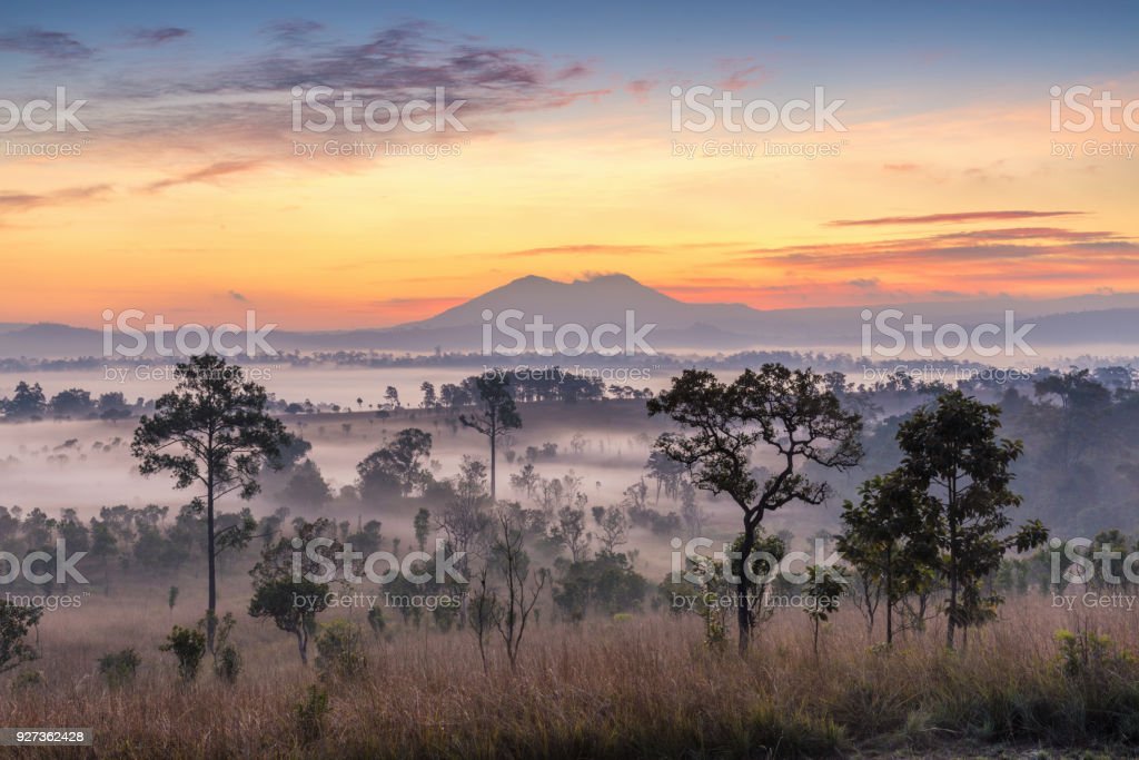 Detail Gambar Pemandangan Gunung Di Pagi Hari Nomer 41