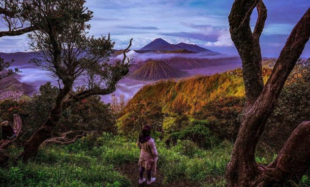 Detail Gambar Pemandangan Gunung Yang Indah Nomer 31