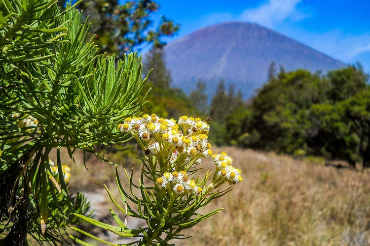 Detail Gambar Pemandangan Gunung Yang Indah Nomer 42