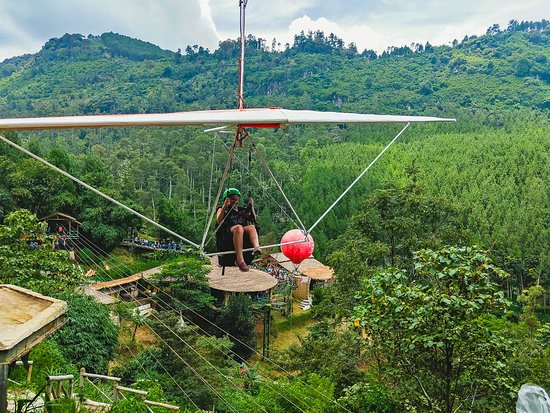 Detail Gambar Pemandangan Hijau Sejuk Nomer 35