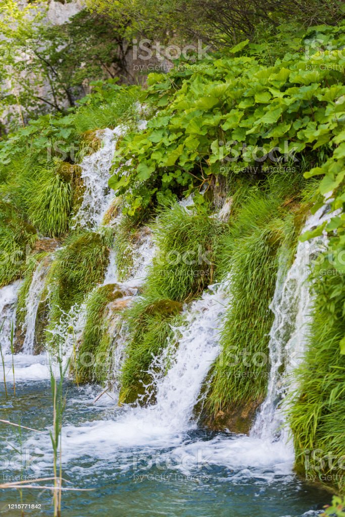 Detail Gambar Pemandangan Hijau Sejuk Nomer 36