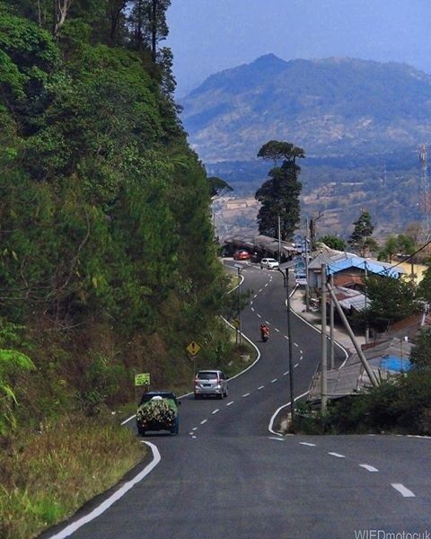 Detail Gambar Pemandangan Indah Di Pagi Hari Nomer 16