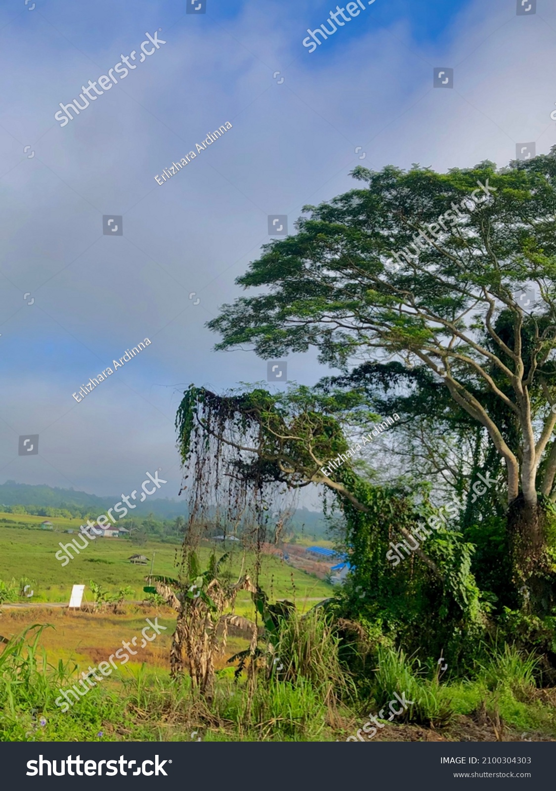 Detail Gambar Pemandangan Indah Di Pagi Hari Nomer 21