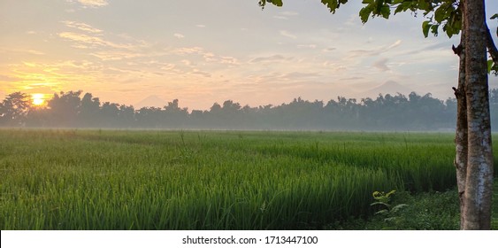 Detail Gambar Pemandangan Indah Di Pagi Hari Nomer 30