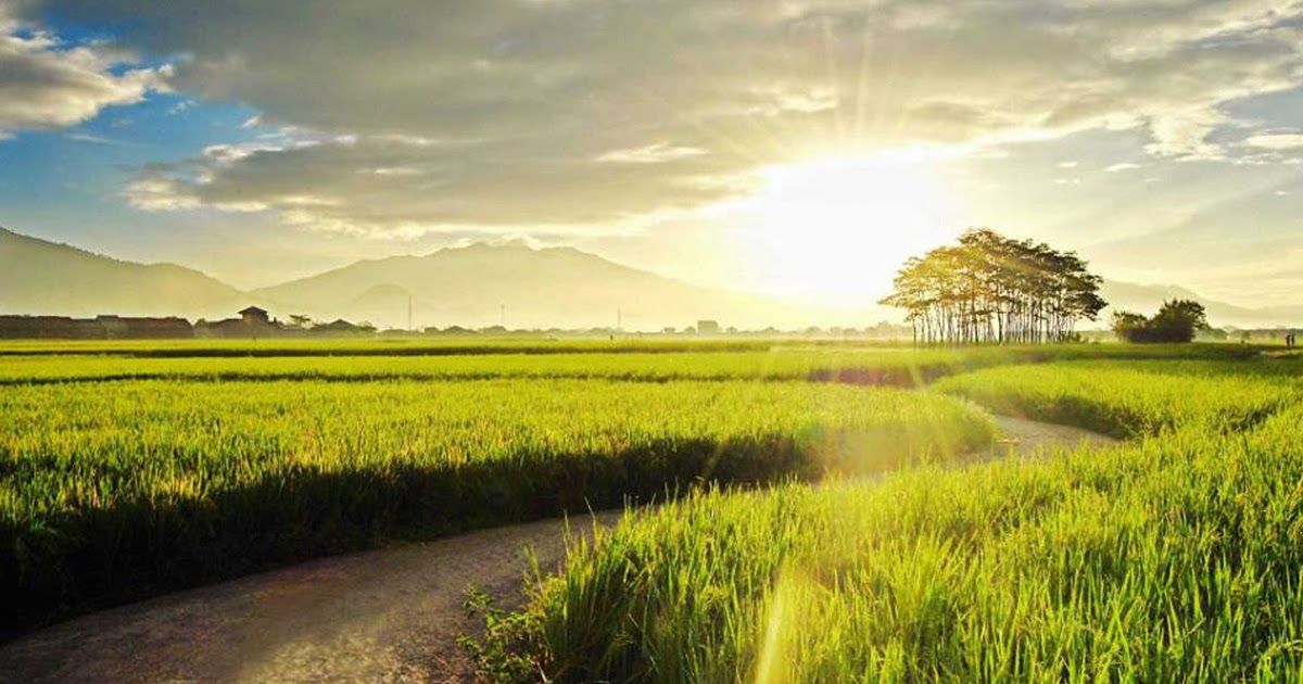 Detail Gambar Pemandangan Indah Di Pagi Hari Nomer 44