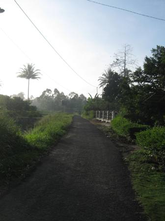 Detail Gambar Pemandangan Indah Di Pagi Hari Nomer 49