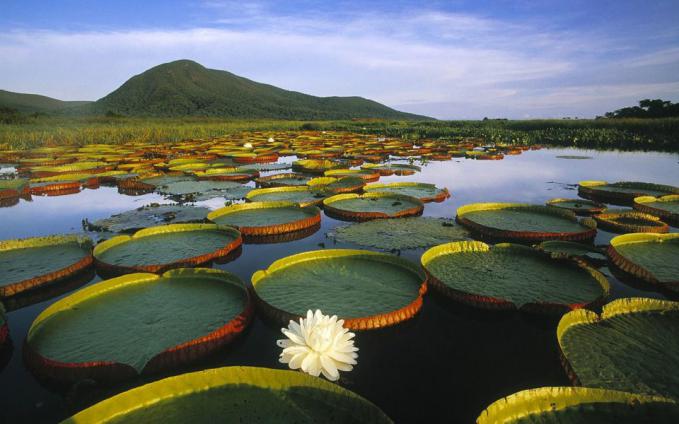 Detail Gambar Pemandangan Indah Sekali Nomer 25