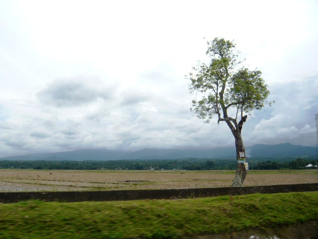 Detail Gambar Pemandangan Kampung Nomer 35