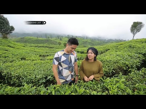 Detail Gambar Pemandangan Kebun Nomer 42