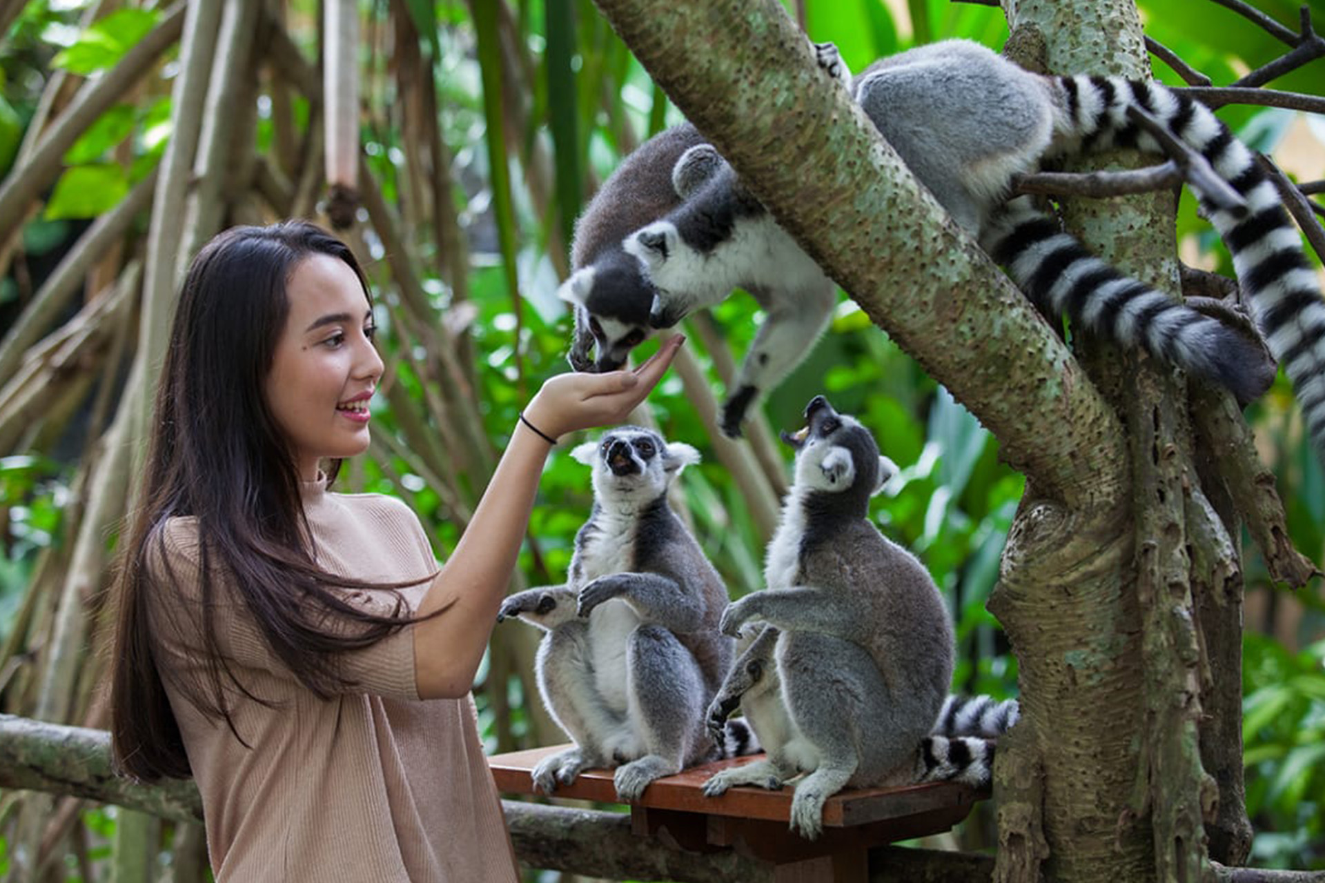 Detail Gambar Pemandangan Kebun Binatang Nomer 50