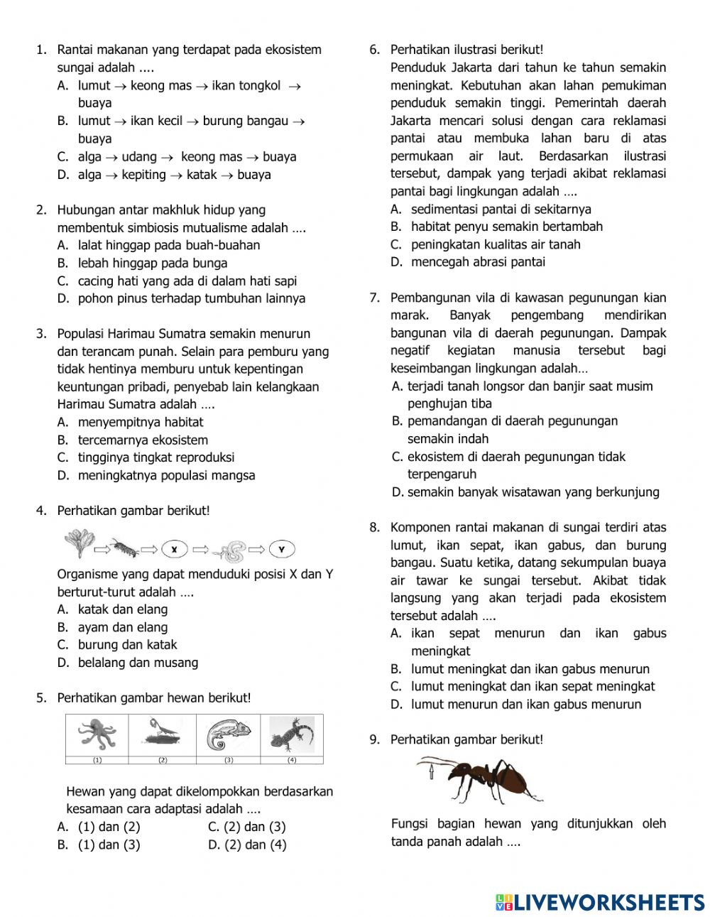 Detail Gambar Pemandangan Lingkungan Ekosistem Nomer 43