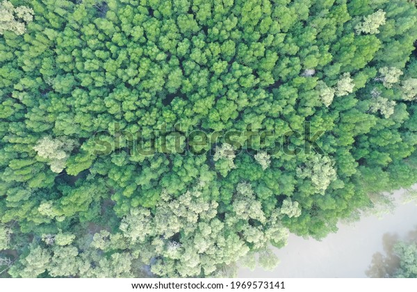 Detail Gambar Pemandangan Lingkungan Ekosistem Nomer 9