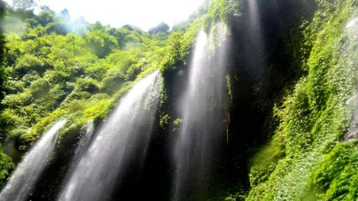 Detail Gambar Pemandangan Madakaripura Nomer 28