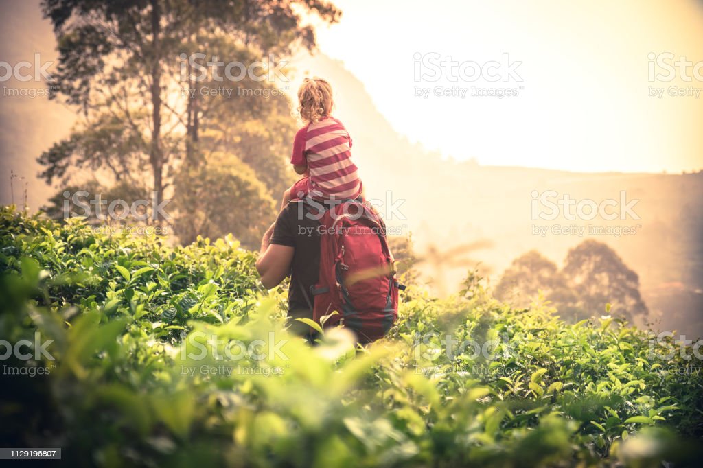 Detail Gambar Pemandangan Matahari Anak Nomer 45