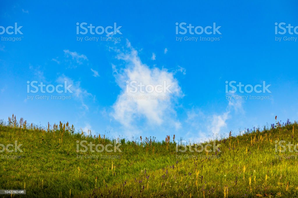 Detail Gambar Pemandangan Padang Rumput Nomer 14