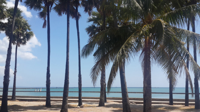 Detail Gambar Pemandangan Pantai Pantai Lasiana Kupang Nomer 10