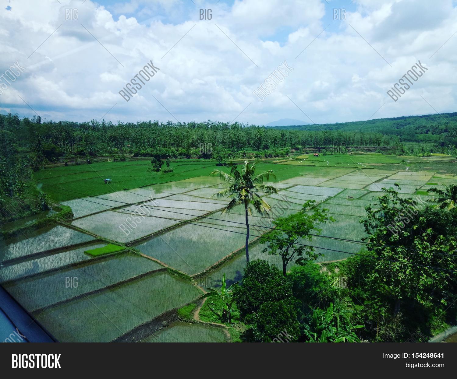 Detail Gambar Pemandangan Pedesaan Yang Indah Nomer 22