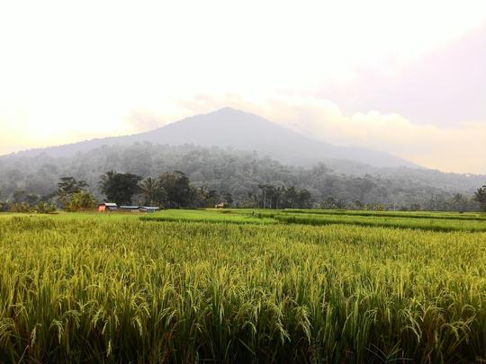 Detail Gambar Pemandangan Pegunungan Yang Indah Angling Darma Nomer 19