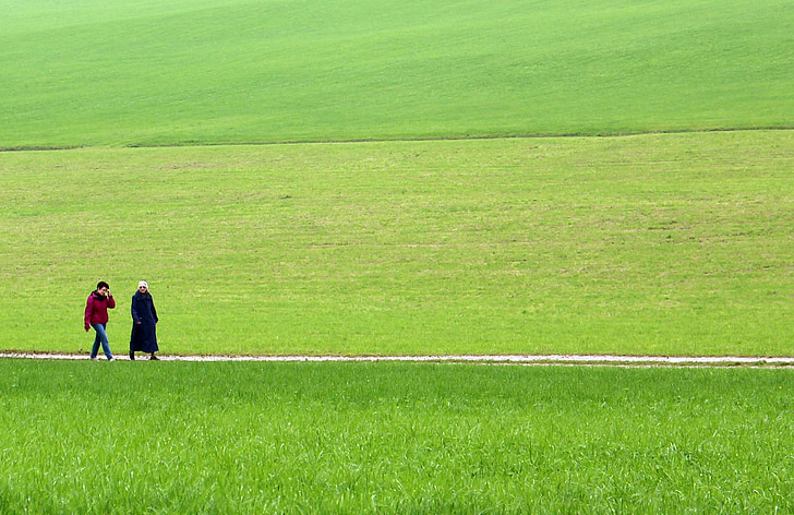 Detail Gambar Pemandangan Rumput Hijau Nomer 10