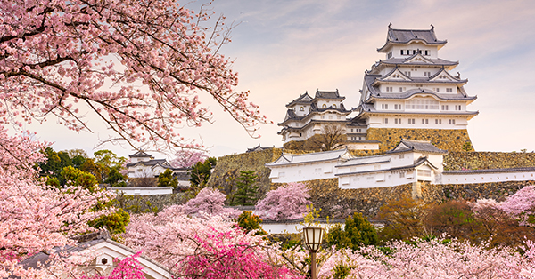Detail Gambar Pemandangan Sakura Nomer 15