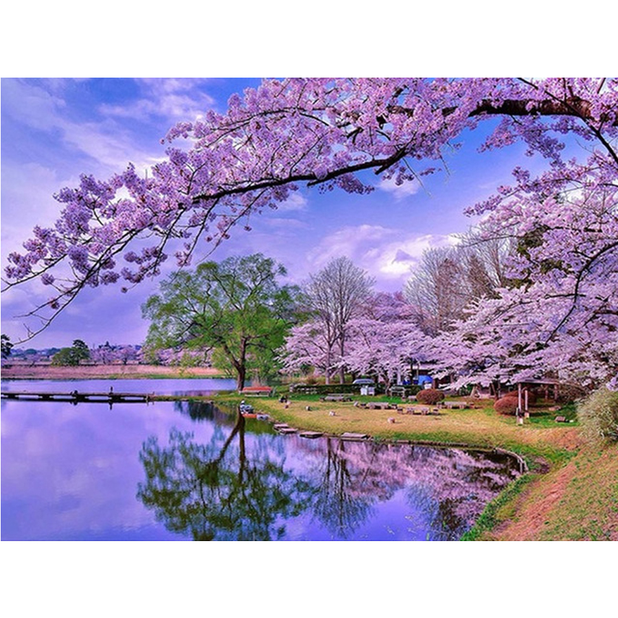 Detail Gambar Pemandangan Sakura Nomer 16