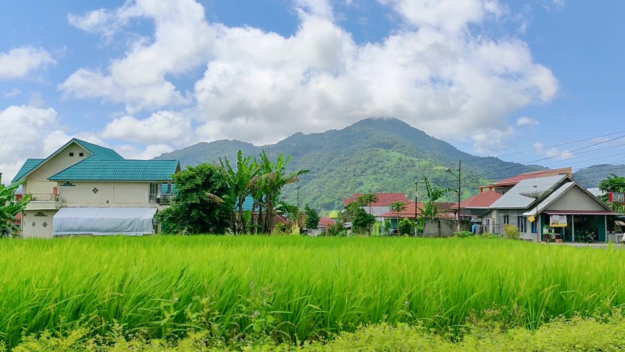 Detail Gambar Pemandangan Sawah Animasi Nomer 32