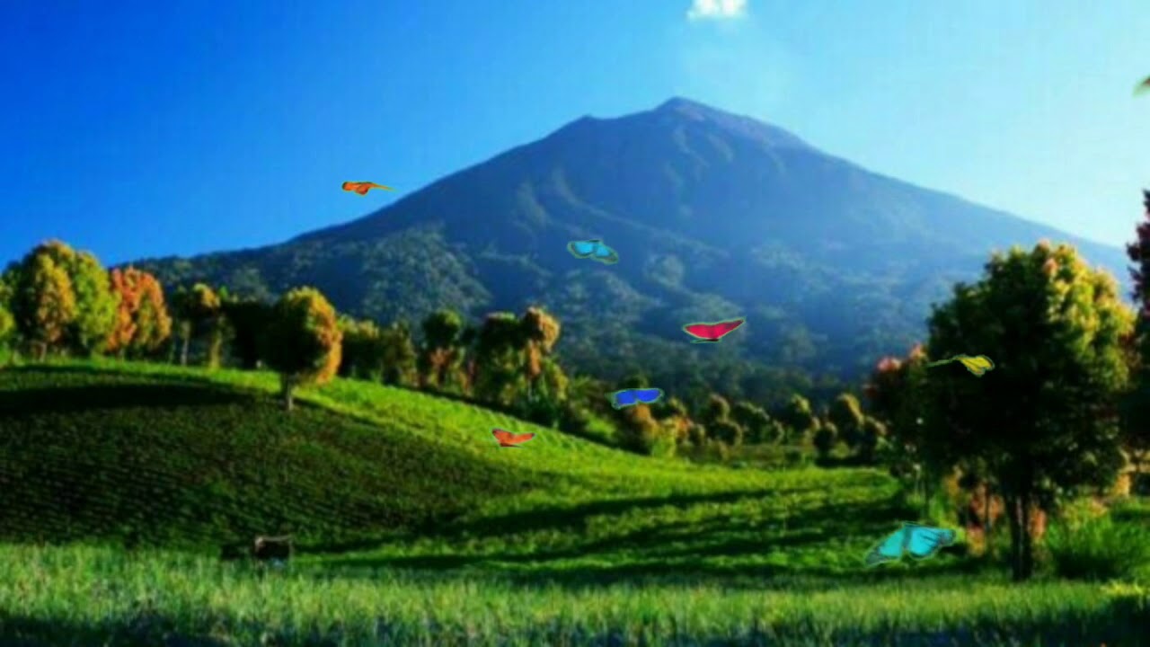 Detail Gambar Pemandangan Sawah Animasi Nomer 40