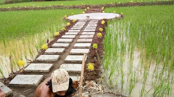 Detail Gambar Pemandangan Sawah Dan Petani Nomer 39